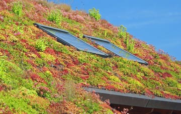 Sennen living roof systems